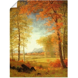 Artland Wandbild »Herbst in Oneida County, New York.«, Felder, (1 St.), als Leinwandbild, Poster in verschied. Größen, bunt