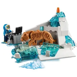 LEGO City Arktis-Versorgungsflugzeug 60196