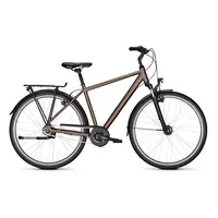 Kalkhoff Image HS 2023 28 Zoll RH 60 cm grau