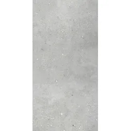 revêt Wandpaneel grau 12 St. 30 x 60 cm