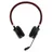 UC Stereo