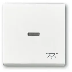 Kontrollwippe Schalter future linear std-ws glz Symbol Licht