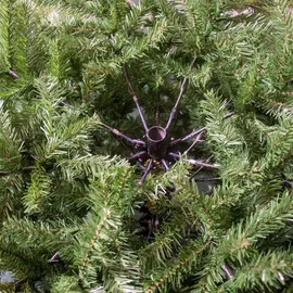 Kaemingk Everlands Künstlicher Weihnachtsbaum Grandis Fir 180m - Grün