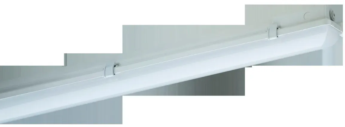 Schuch Licht LED-Notleuchte 163 15L60G2/1 MA