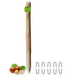 Floranica Zaunpfahl, 120 cm hoch, Ø 6-8 cm, Haselnussholz - braun
