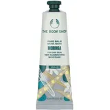 The Body Shop Moringa Hand Balm 30 ml