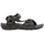 Jack Wolfskin Lakewood Ride Herren cold coffee 47