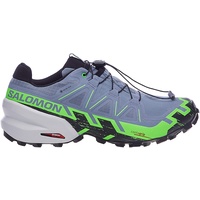 Salomon Speedcross 6 Gore-Tex Herren flint stone/green gecko/black 47 1/3