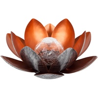 Dehner Solarleuchte Lotus 27,5 cm schwarz