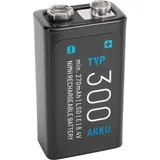 Absina 300 9V 270 mAh 1 St.