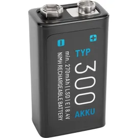 Absina 300 9V 270 mAh 1 St.