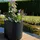 Prosperplast Blumentopf 47 x 45 cm Anthrazit