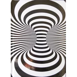 ADINA Notizbuch A4 fester Deckel kariert mit Rand Illusion