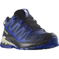 Salomon Herren Xa Pro 3D V9 GTX Schuhe (Größe