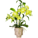 Creativ green Kunstorchidee »Orchideen-Bambus-Arrangement im Buddhakopf«, grün
