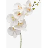 artplants.de Künstliche Blume Phalaenopsis Orchideen Zweig NEITH, weiß, 85cm - Textilblume Orchidee