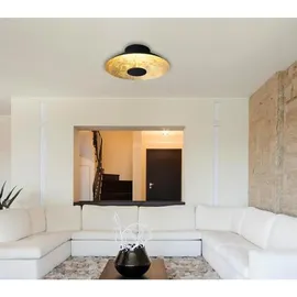 NÄVE Firenze (1265458)