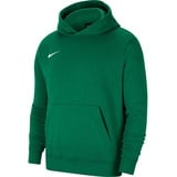 Nike Park 20 Fleece Hoodie Kapuzenpullover, Pine Green/White, XL