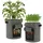 Spetebo XXL Pflanzsack 70 l 2er Set