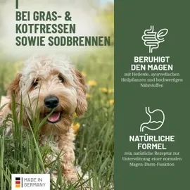 reavet Gras & Kotfresser Drops 350 g