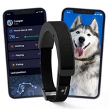 Invoxia Smartes Hundehalsband – Scan der Herzgesundheit, Aktivität & GPS – 15 Tage Autonomie – Mehrfach ausgezeichnet – Integrierte 4G-SIM-Karte