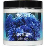 BingoSpa Blaualgen Badesalz 900 g