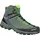 Salewa Alp Trainer 2 Mid GTX Herren raw green/pale frog 46