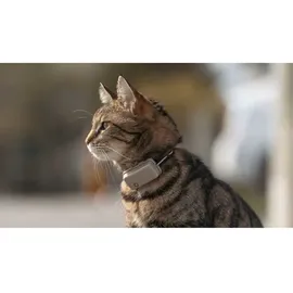 tractive Gps-Lokalisierer Tractive Mini Cat - Braun - One Size