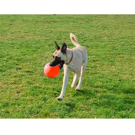 Jolly Pets JOLL068G Hundespielzeug Ball Bounce-n Play, 15 cm, orange