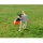 Jolly Pets JOLL068G Hundespielzeug Ball Bounce-n Play, 15 cm, orange