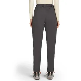 Icebreaker Merino Elevation Stretch Hosen Grau 30