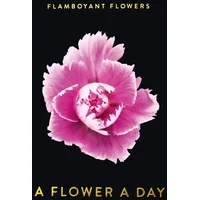 Seltmann Publishers GmbH Flamboyant Flowers