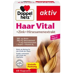 Doppelherz Haar Vital+zink+hirseextrakt Kapseln