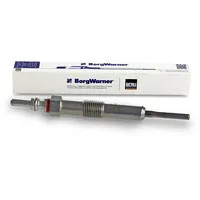 BorgWarner (Beru) BERU GE110