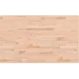 vidaXL Tischplatte 100x60x2,5 cm