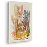 KOMAR Keilrahmenbild im Echtholzrahmen - Coral Aqua - Größe 30 x 40 cm - Wandbild, Kunstdruck, Wanddekoration, Design, Wohnzimmer, Schlafzimmer
