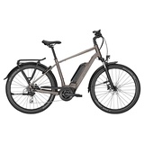 Kalkhoff Entice 1.B Move Bosch 545Wh Elektro Trekking Bike moonstonegrey matt | 50 cm | E-Trekkingräder