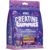 Applied Nutrition Creatine Gummies – 3000 mg Kreatin Monohydrat pro Dosis - 80 Vegane Creatin Gummies für Kraft, Leistung & Regeneration (20 Einnahmen) (20 Servings (Pack of 1), Millions Blackcurrant)