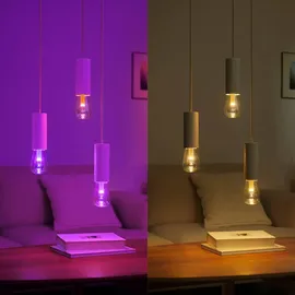 Philips Hue White Color Ambiance Lightguide E27 ST72