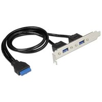 DeLock Slotblende, 2x USB-A 3.0 (84836)