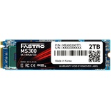 MEGA Electronics Fastro MS300 SSD 2TB, M.2 2280 / M-Key / PCIe 4.0 x4 (MS300200TTI)