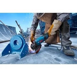 Bosch EXWS30-230B im Karton