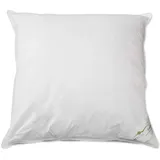 BettwarenShop Daunenkissen Exclusiv 80 x 80 cm Weiß