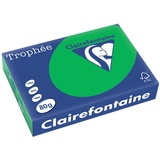 Clairefontaine Multifunktionspapier Trophée, A4, billardgrün