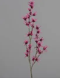 DPI Hamamelis-Zweig  in 115cm Fb. fuchsia