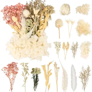LAUMOE Trockenblumen, Getrocknete Blumen, Trockenblumen zum Basteln, Trockenblumen Weiß Trockenblumen Deko Mehrblütige Version für Kunst Basteln Dekoration (Weiß 2)