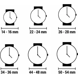 Festina Herren-Quarzuhr Edelstahl/Schwarz