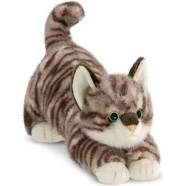 AURORA Borealis Esme Tabby Cat