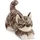 AURORA Borealis Esme Tabby Cat