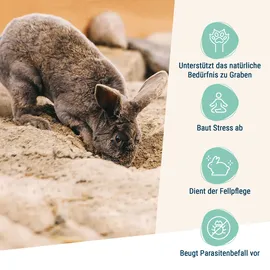 Schicker Mineral Kaninchen Buddelsand 0-1 mm - 25 kg, Sack